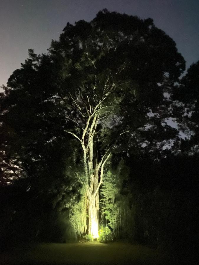 Recanto Da Floresta - Casa De Campo Em Secretario Petrópolis 외부 사진