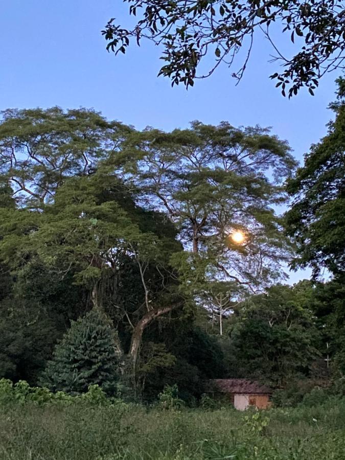 Recanto Da Floresta - Casa De Campo Em Secretario Petrópolis 외부 사진